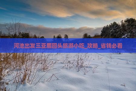 河池出发三亚鹿回头旅游小吃