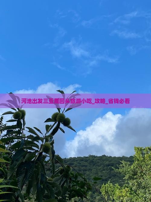 河池出发三亚鹿回头旅游小吃