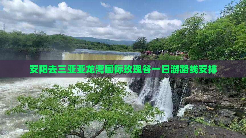 安阳去三亚亚龙湾国际玫瑰谷一日游