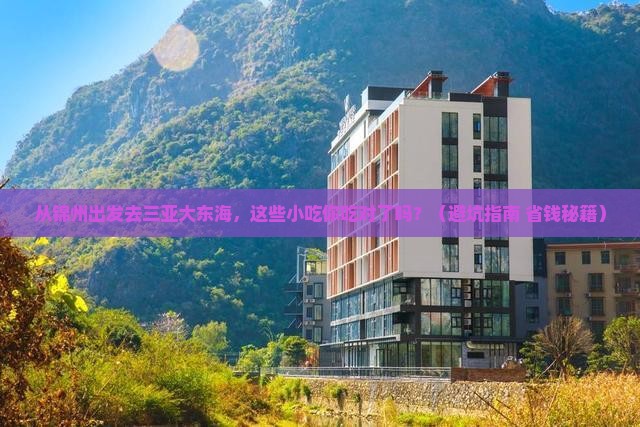 锦州出发三亚大东海旅游小吃