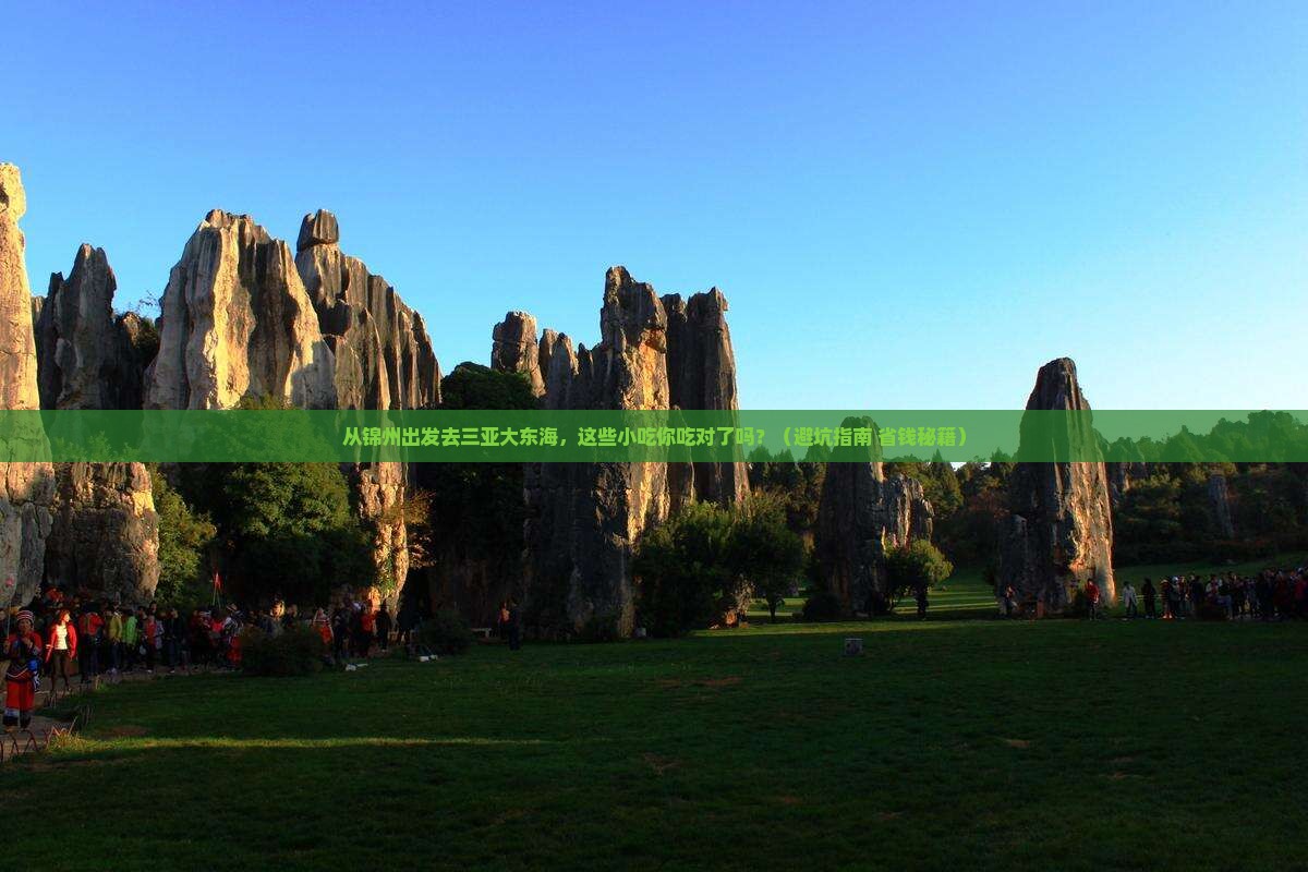 锦州出发三亚大东海旅游小吃