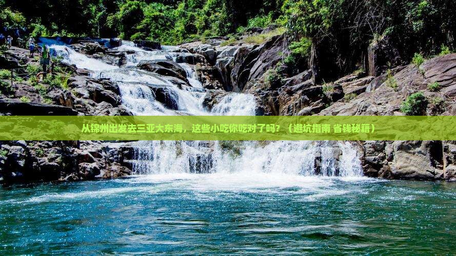 锦州出发三亚大东海旅游小吃