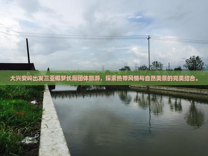 大兴安岭出发三亚椰梦长廊团体旅游