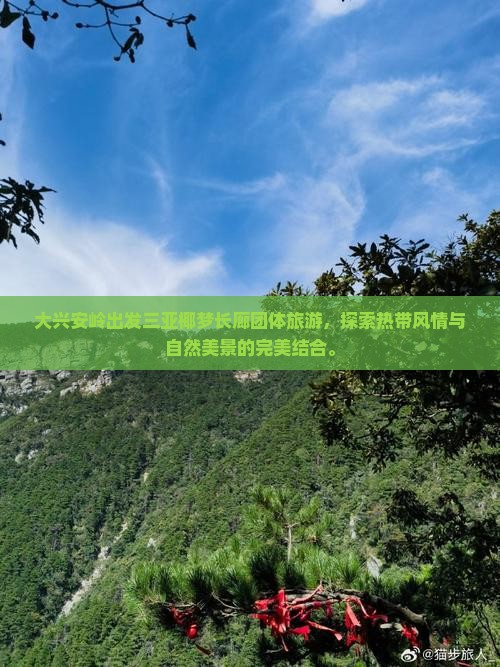 大兴安岭出发三亚椰梦长廊团体旅游