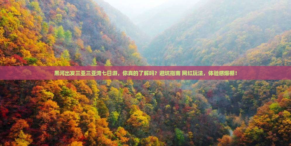 黑河出发三亚三亚湾七日游