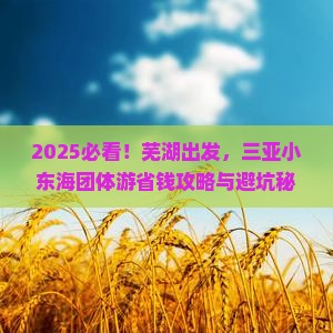 芜湖去三亚小东海团体旅游