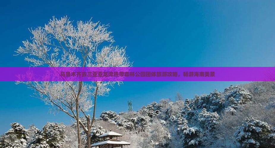 乌鲁木齐去三亚亚龙湾热带森林公园团体旅游