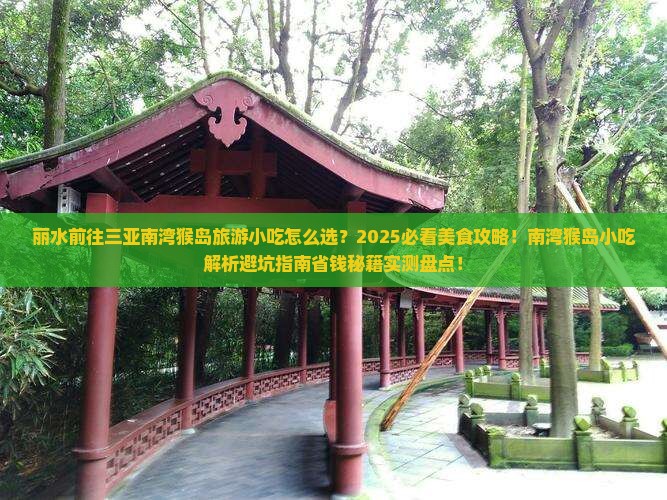 丽水前往三亚南湾猴岛旅游小吃