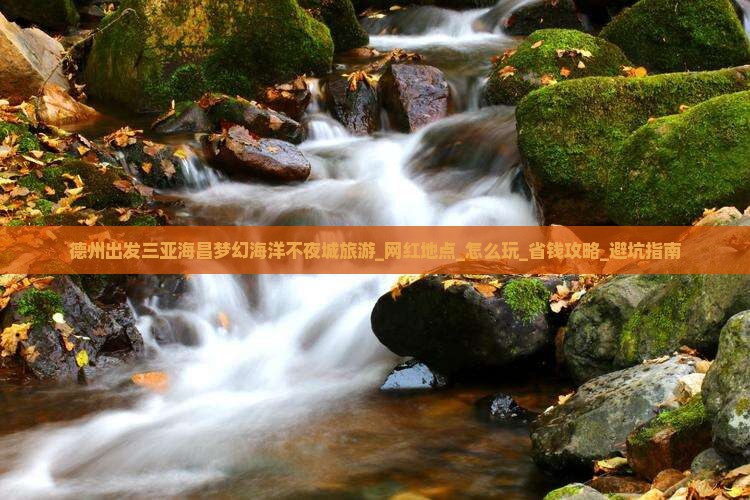 德州出发三亚海昌梦幻海洋不夜城旅游网红地点