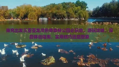 南充出发三亚亚龙湾热带森林公园必玩地