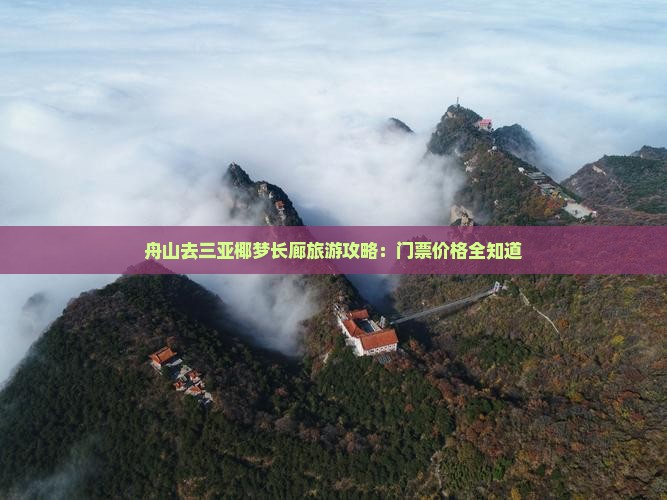 舟山去三亚椰梦长廊门票