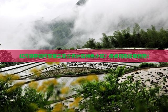 红河游客如何享受三亚分界洲岛特色小吃？痛点和热词新趋势！