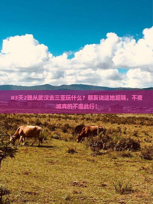#3天2晚从武汉去三亚玩什么？朋友说这地超嗨，不夜城真的不虚此行！