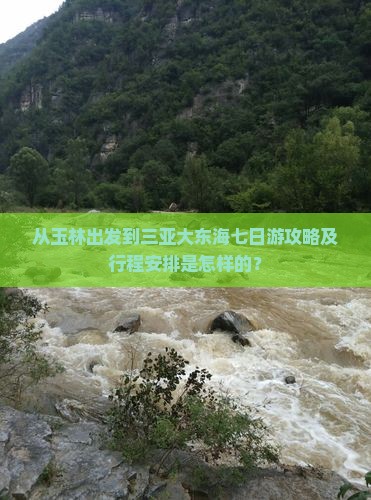 从玉林出发到三亚大东海七日游攻略及行程安排是怎样的？