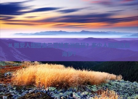 # 雅安人组团去三亚蜈支洲岛玩？多少人能圆这趟海梦？
