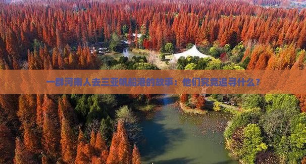 一群河南人去三亚帆船港的故事：他们究竟追寻什么？