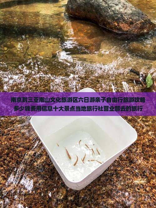 南京到三亚南山文化旅游区六日游亲子自由行旅游攻略多少钱费用信息十大景点当地旅行社营业部去的旅行