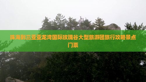 珠海到三亚亚龙湾国际玫瑰谷大型旅游团旅行攻略景点门票