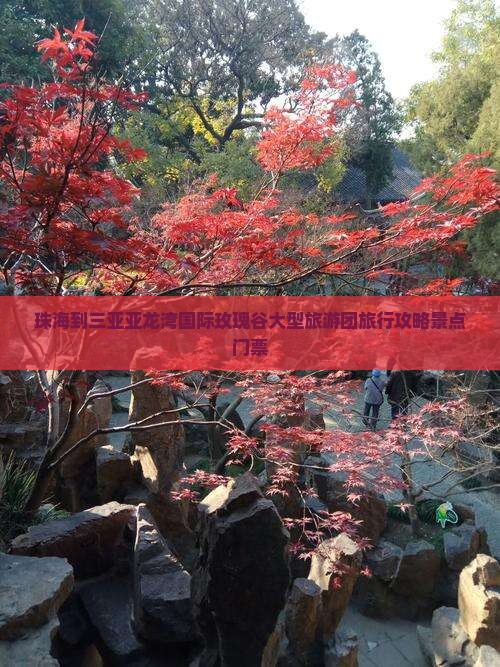 珠海到三亚亚龙湾国际玫瑰谷大型旅游团旅行攻略景点门票