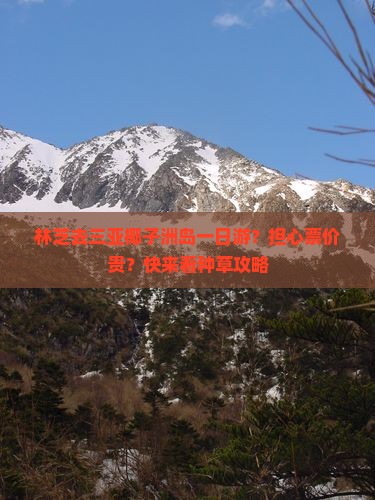林芝去三亚椰子洲岛一日游？担心票价贵？快来看种草攻略
