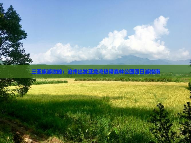 三亚旅游攻略：沧州出发亚龙湾热带森林公园四日游指南