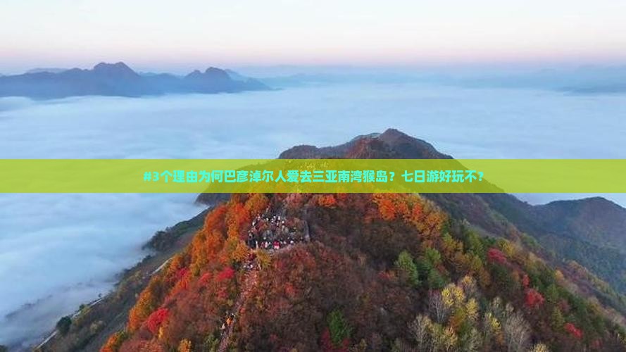#3个理由为何巴彦淖尔人爱去三亚南湾猴岛？七日游好玩不？