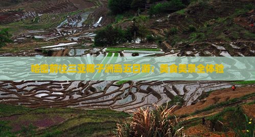 哈密前往三亚椰子洲岛五日游：美食美景全体验