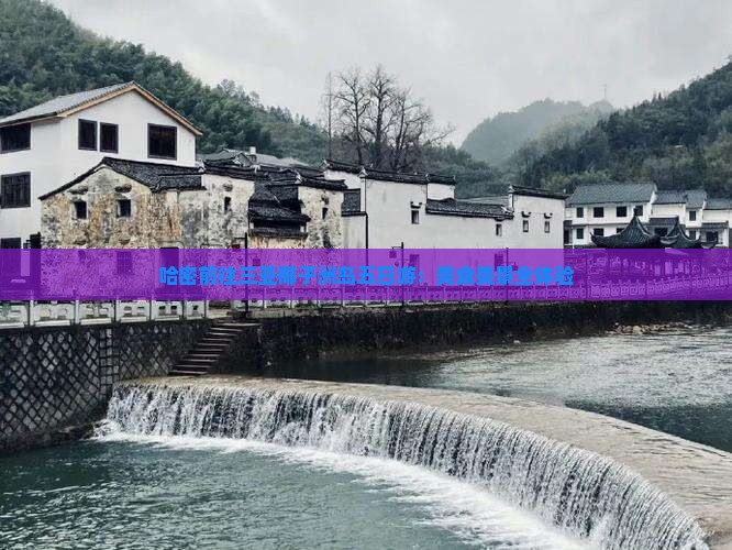 哈密前往三亚椰子洲岛五日游：美食美景全体验