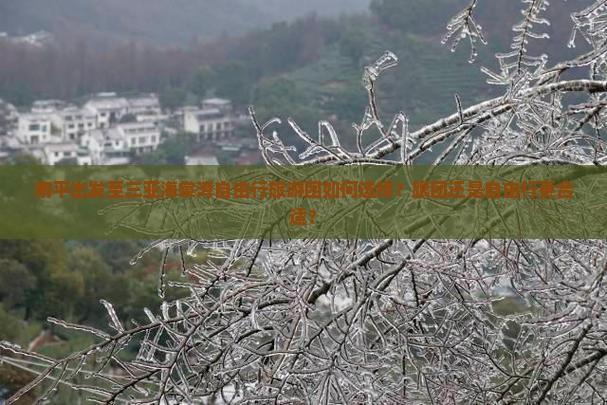 南平出发至三亚海棠湾自由行旅游团如何选择？跟团还是自由行更合适？