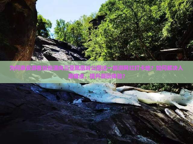 为何泰安游客纷纷涌向三亚凤凰岭公园这一旅游网红打卡地？如何解决人潮痛点，提升游玩体验？