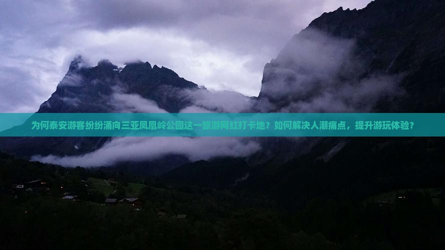 为何泰安游客纷纷涌向三亚凤凰岭公园这一旅游网红打卡地？如何解决人潮痛点，提升游玩体验？