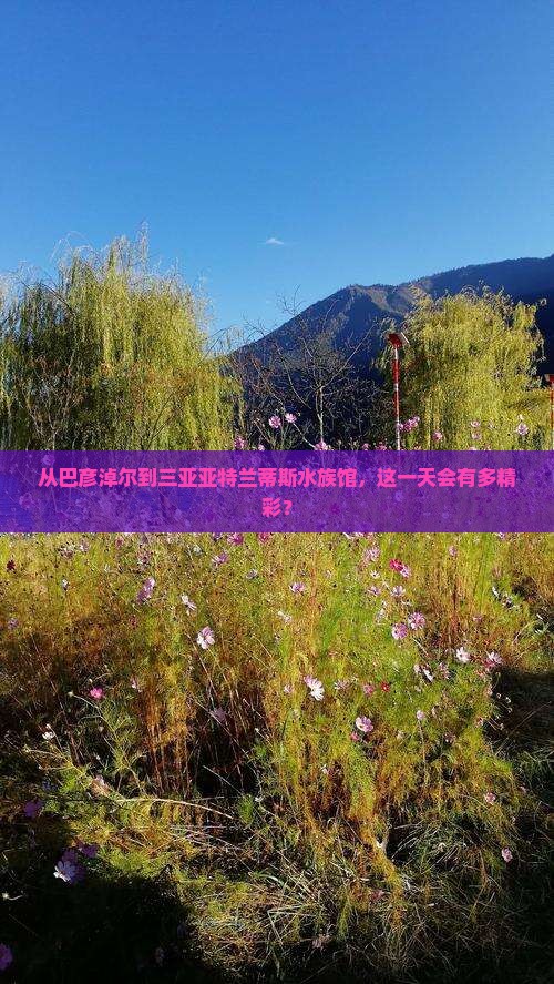 从巴彦淖尔到三亚亚特兰蒂斯水族馆，这一天会有多精彩？