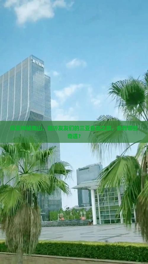 探索神秘南山，临沂友友们的三亚自由之旅，会有哪些奇遇？