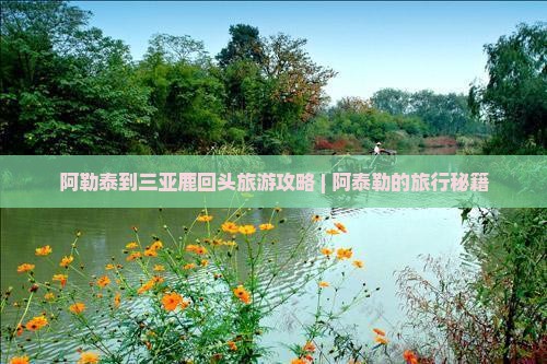 阿勒泰到三亚鹿回头旅游攻略 | 阿泰勒的旅行秘籍