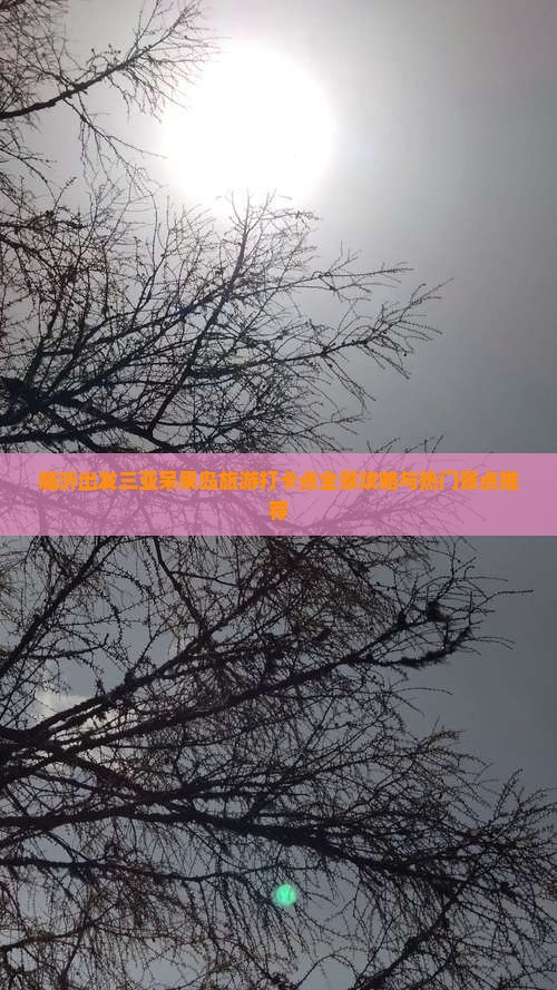 临沂出发三亚呆呆岛旅游打卡点全景攻略与热门景点推荐