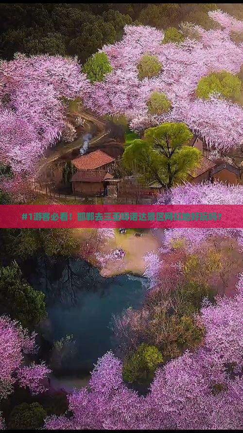 #1游客必看！邯郸去三亚呀诺达景区网红地好玩吗？