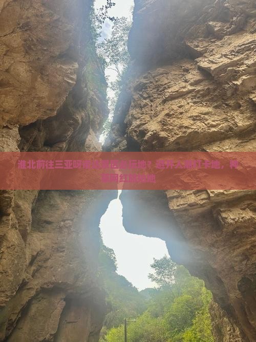 淮北前往三亚呀诺达景区必玩地？避开人潮打卡地，种草网红旅拍地