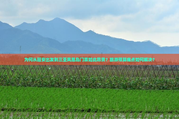 为何从延安出发到三亚凤凰岛门票如此昂贵？旅游预算痛点如何解决？