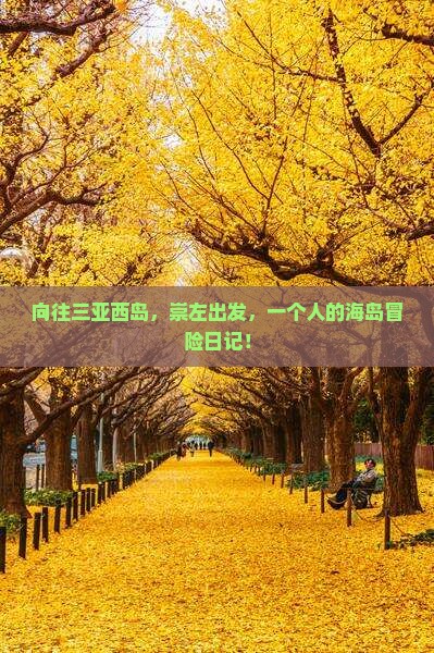 向往三亚西岛，崇左出发，一个人的海岛冒险日记！