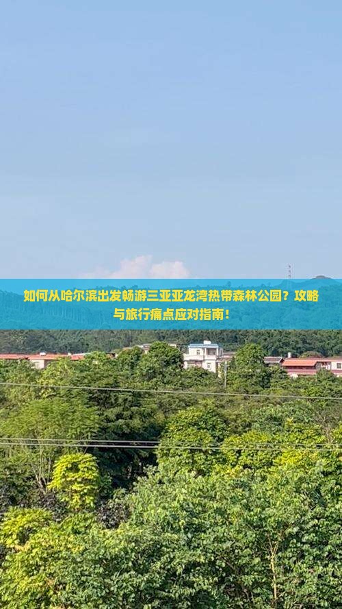 如何从哈尔滨出发畅游三亚亚龙湾热带森林公园？攻略与旅行痛点应对指南！