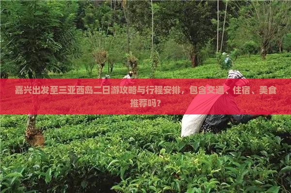 嘉兴出发至三亚西岛二日游攻略与行程安排，包含交通、住宿、美食推荐吗？