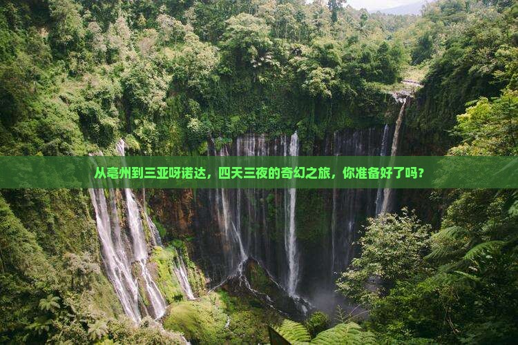 从亳州到三亚呀诺达，四天三夜的奇幻之旅，你准备好了吗？