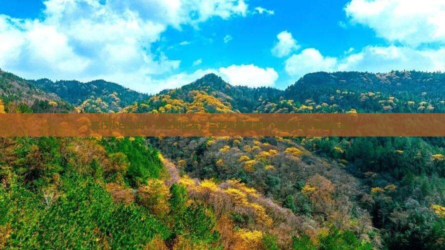 旅行小白必知：从达州出发，三亚海棠湾哪5个景点让人惊喜连连？