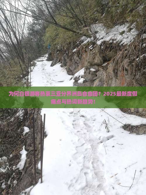 为何白银游客热衷三亚分界洲岛自由团？2025最新度假痛点与热词新趋势！