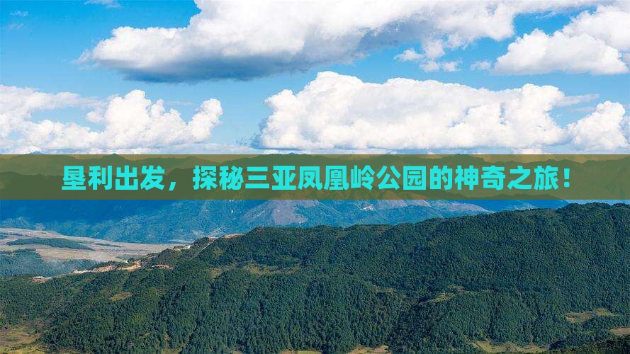垦利出发，探秘三亚凤凰岭公园的神奇之旅！