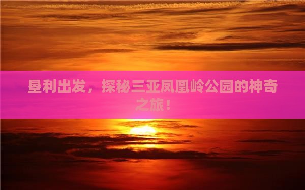 垦利出发，探秘三亚凤凰岭公园的神奇之旅！