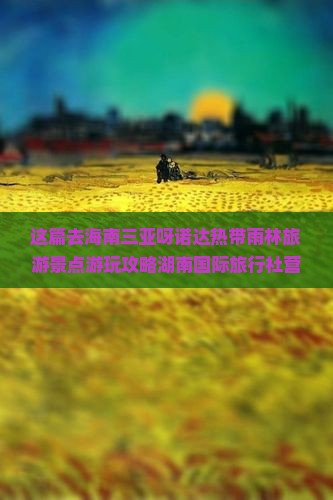 这篇去海南三亚呀诺达热带雨林旅游景点游玩攻略湖南国际旅行社营业部带你看看