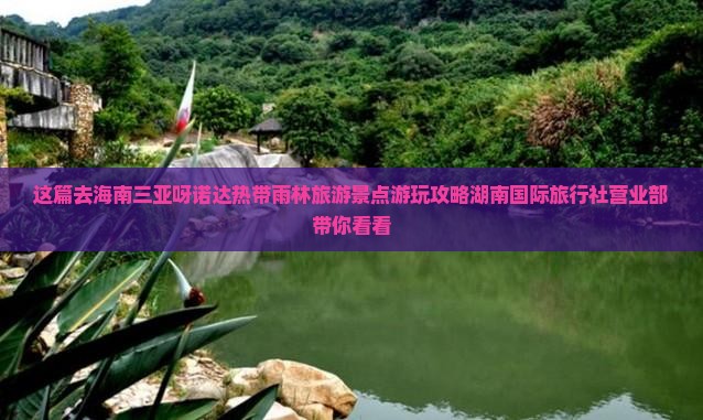 这篇去海南三亚呀诺达热带雨林旅游景点游玩攻略湖南国际旅行社营业部带你看看