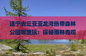 遂宁去三亚亚龙湾热带森林公园哪里玩：探秘雨林奇观与海滨风光之旅