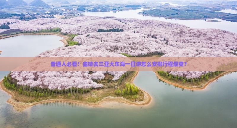 普通人必看！曲靖去三亚大东海一日游怎么安排行程最爽？